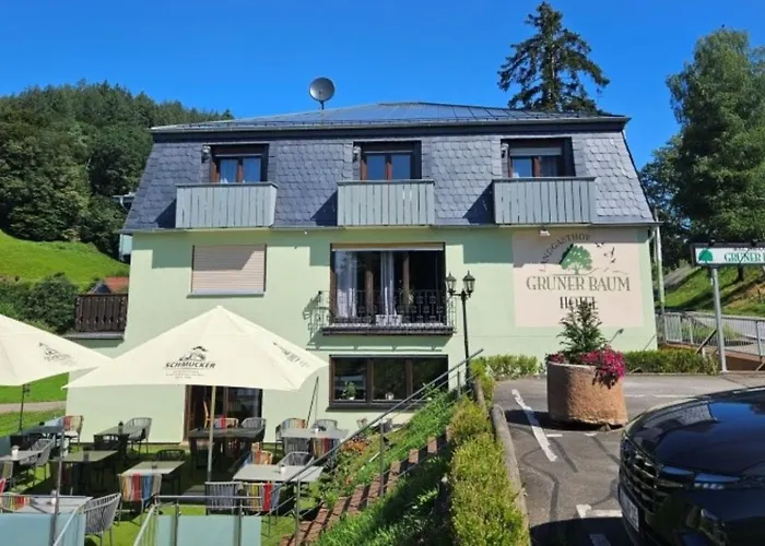 Hotel Grüner Baum mit Restaurant&Wellness