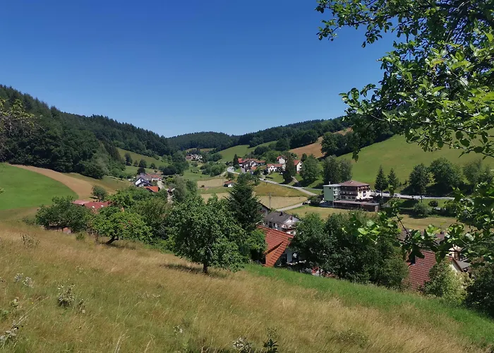 Hotel Grüner Baum mit Restaurant&Wellness